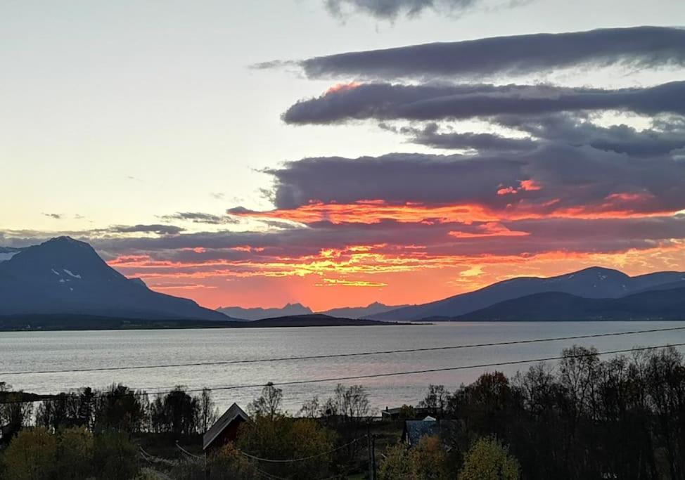 Liten Kjellerleilighet. Landlig Rolig Omrade. Tromsø Exterior foto